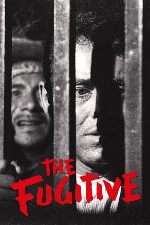 THE FUGITIVE
